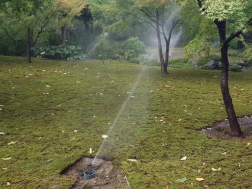 【植栽/植樹帯かん水】神社内庭園の緑化（京都）