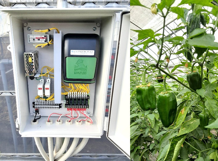 【遠隔操作】ピーマンハウス かん水遠隔監視･制御システム(宮崎県)